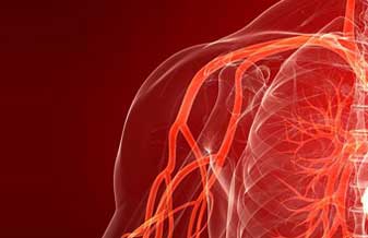 Cirurgia Vascular E Angiologia Doutor Cesar Rodrigues Ramos - Foto 1