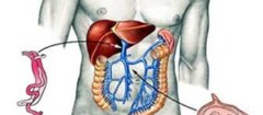 gastroenterologia-rondonopolis-1371242793