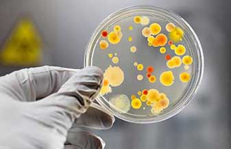 Doutor Juliano Munaretto - Foto 1