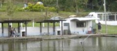 pesqueiros-rondonopolis-1371051664
