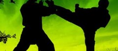 tae-kwon-do-rondonopolis-1371092686