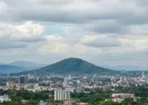 crescimento do faturamento