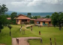 Processo Seletivo em Rondonópolis