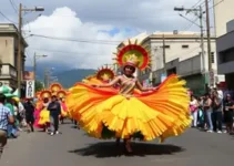 Câmara de Rondonópolis decreta ponto facultativo no Carnaval