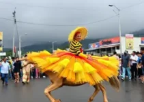 Carnaval em Rondonópolis
