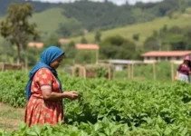 programa Mulheres em Campo