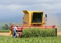 Capacitação de operadores de colheitadeira de grãos