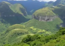 curadoria de viagens