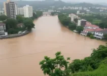Nível do Rio Vermelho