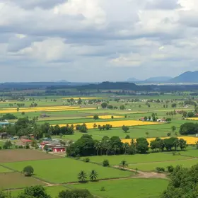 Rondonópolis exportações