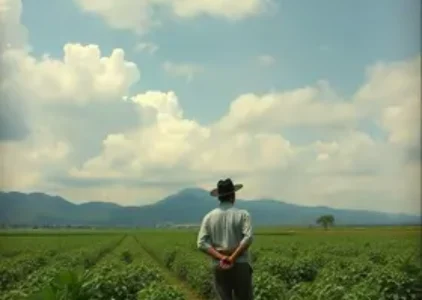 Últimas noticias de Rondonópolis