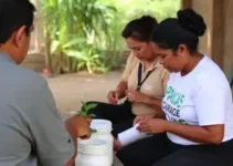 Projeto MT Produtivo