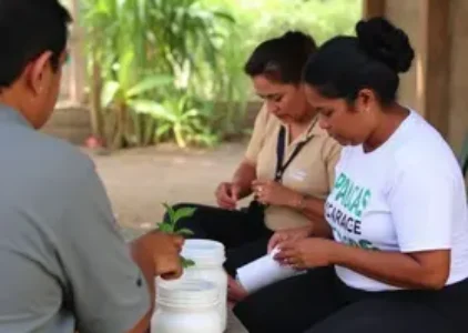 Últimas noticias de Rondonópolis