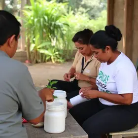 Projeto MT Produtivo