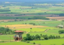 exportações Rondonópolis