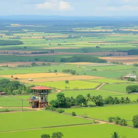 exportações Rondonópolis