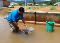 Água Doce Sabores do Brasil