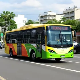 ônibus elétricos