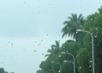 alerta amarelo em Rondonópolis