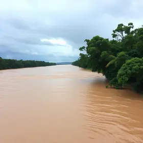 Nível do Rio Vermelho