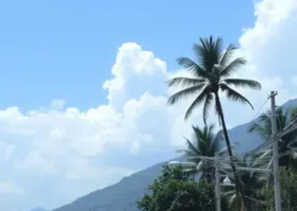Últimas noticias de Rondonópolis