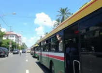 transporte público gratuito