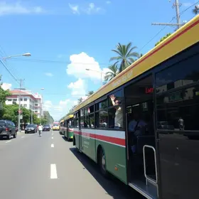 transporte público gratuito