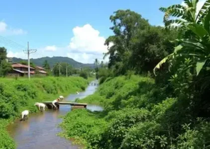 Últimas noticias de Rondonópolis