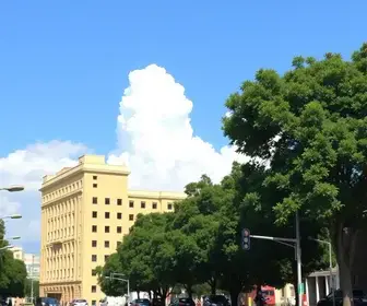 eleição da Mesa Diretora de Rondonópolis